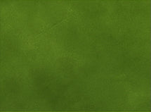 Verdant Ash