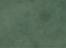 Stoneleaf
